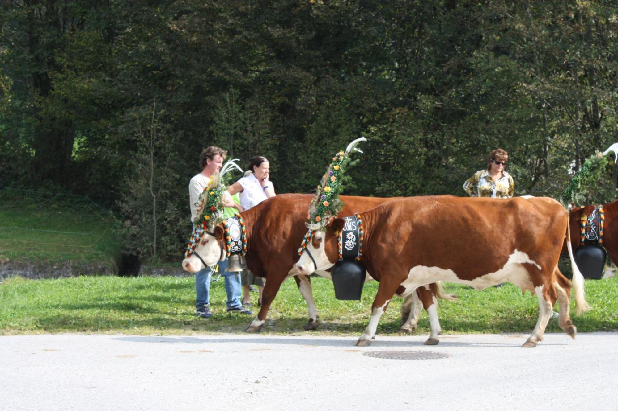Ferienhof Kampfl Fügen Exteriör bild